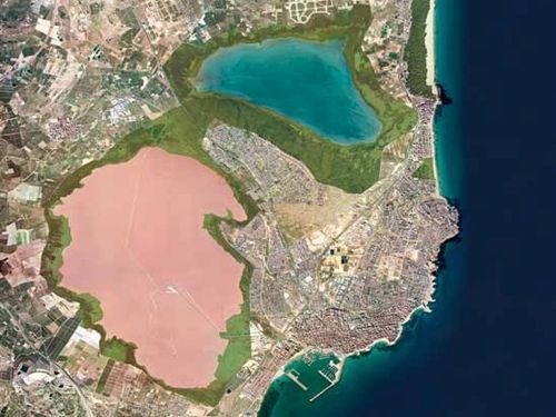 PARQUE NATURAL DE LAS LAGUNAS DE LA MATA Y TORREVIEJA
